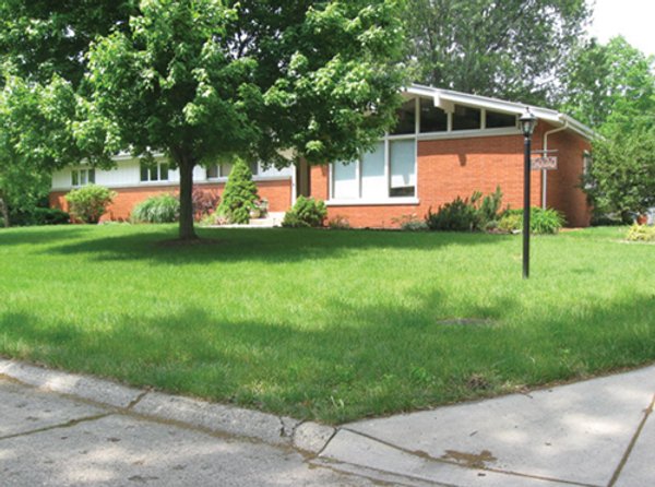 3 Bedroom Ranch on Basement - Foster Park Area